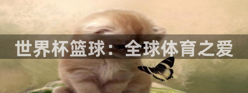 世界杯篮球：全球体育之爱