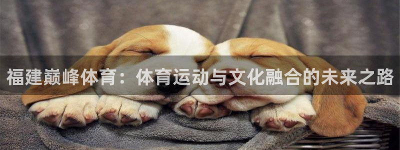 福建巅峰体育：体育运动与文化融合的未来之